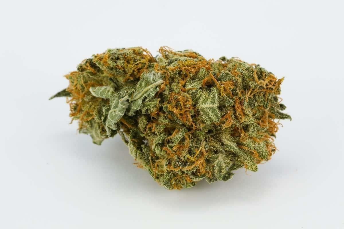 Bubba Kush