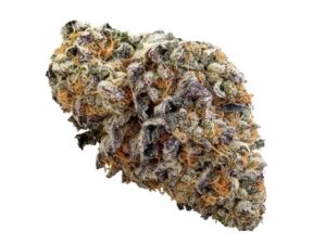 Mimosa