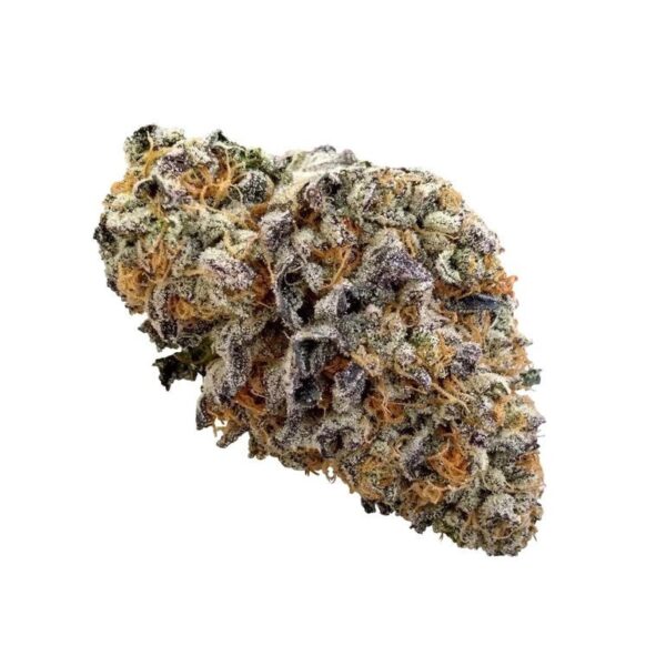Mimosa