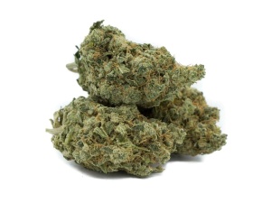Green Crack