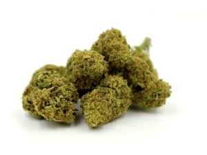 Dogwalker OG