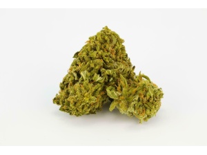 SFV OG (Presidential OG)