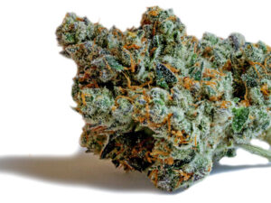 Papaya