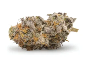 Girl Scout Cookies