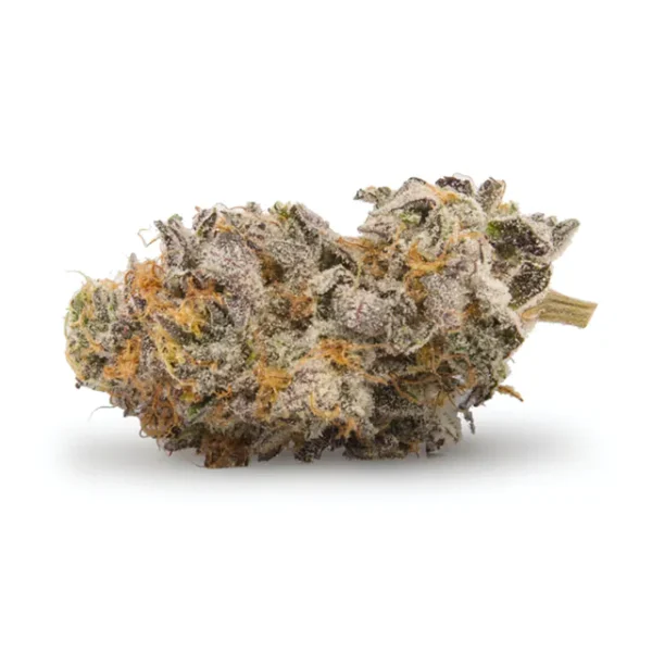 Girl Scout Cookies