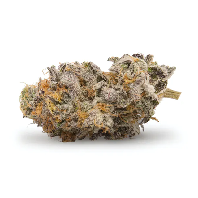 Girl Scout Cookies
