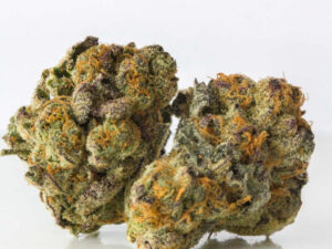 Northern Lights