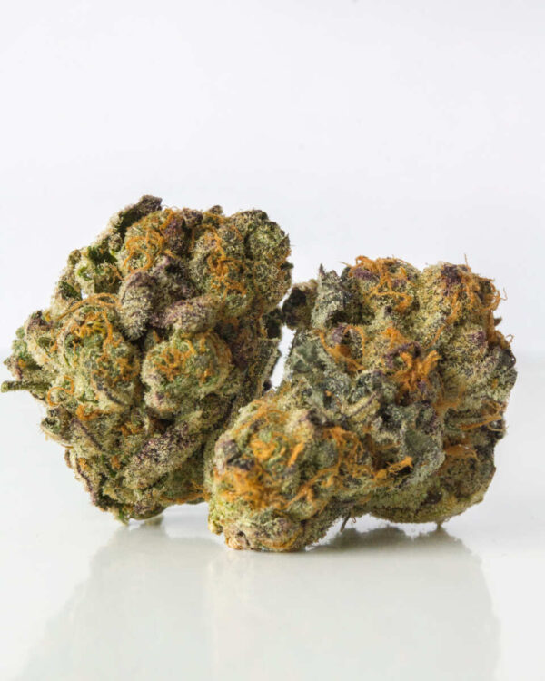 Northern Lights