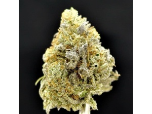 BANANA OG