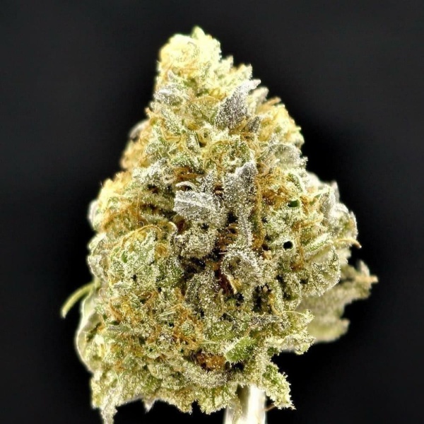 BANANA OG
