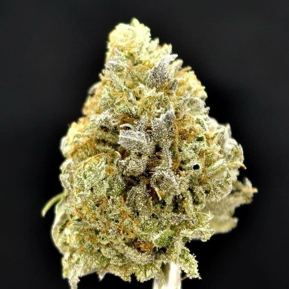 BANANA OG
