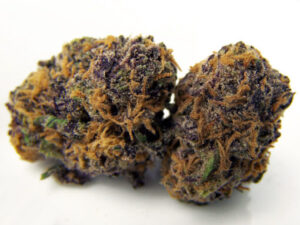 Lava Cake