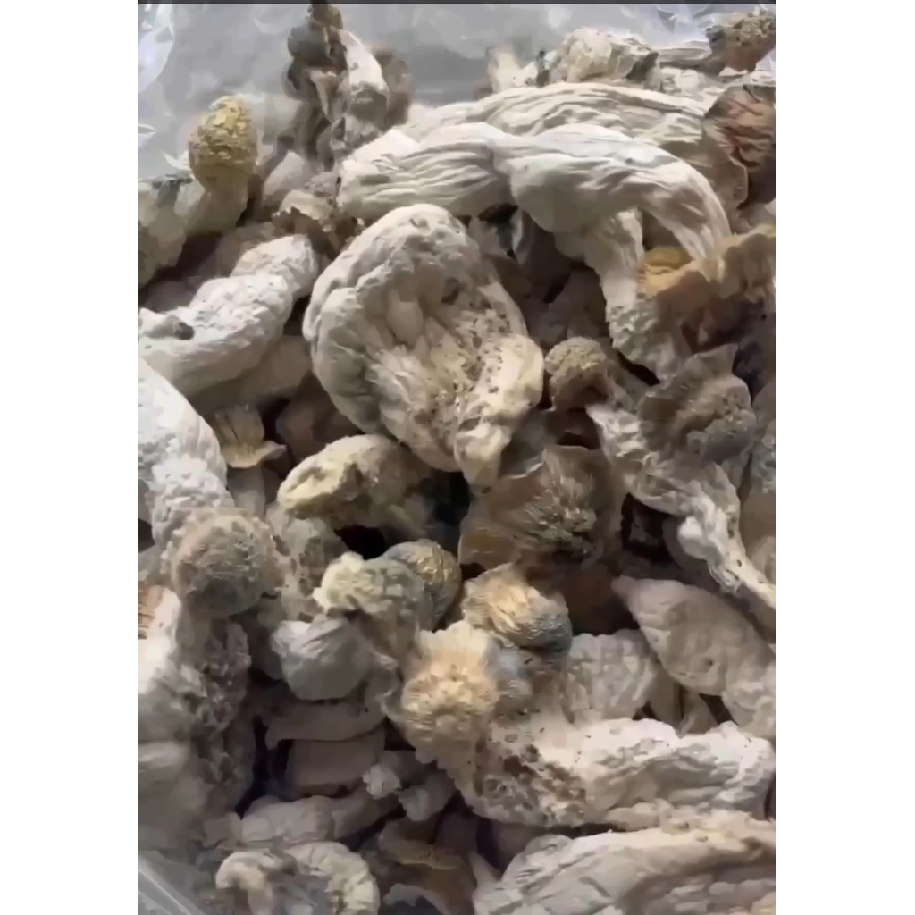 Mushroom