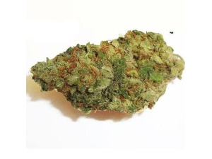 BLUEBERRY KUSH