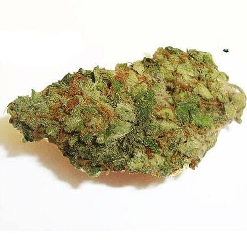 BLUEBERRY KUSH