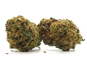 Granddaddy Purple
