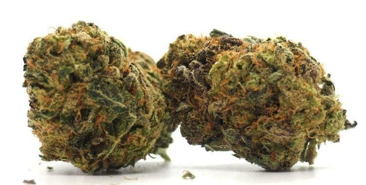 Granddaddy Purple