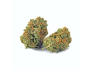 Grease Monkey