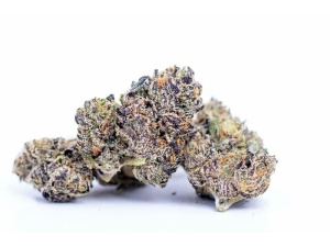 Purple urkle