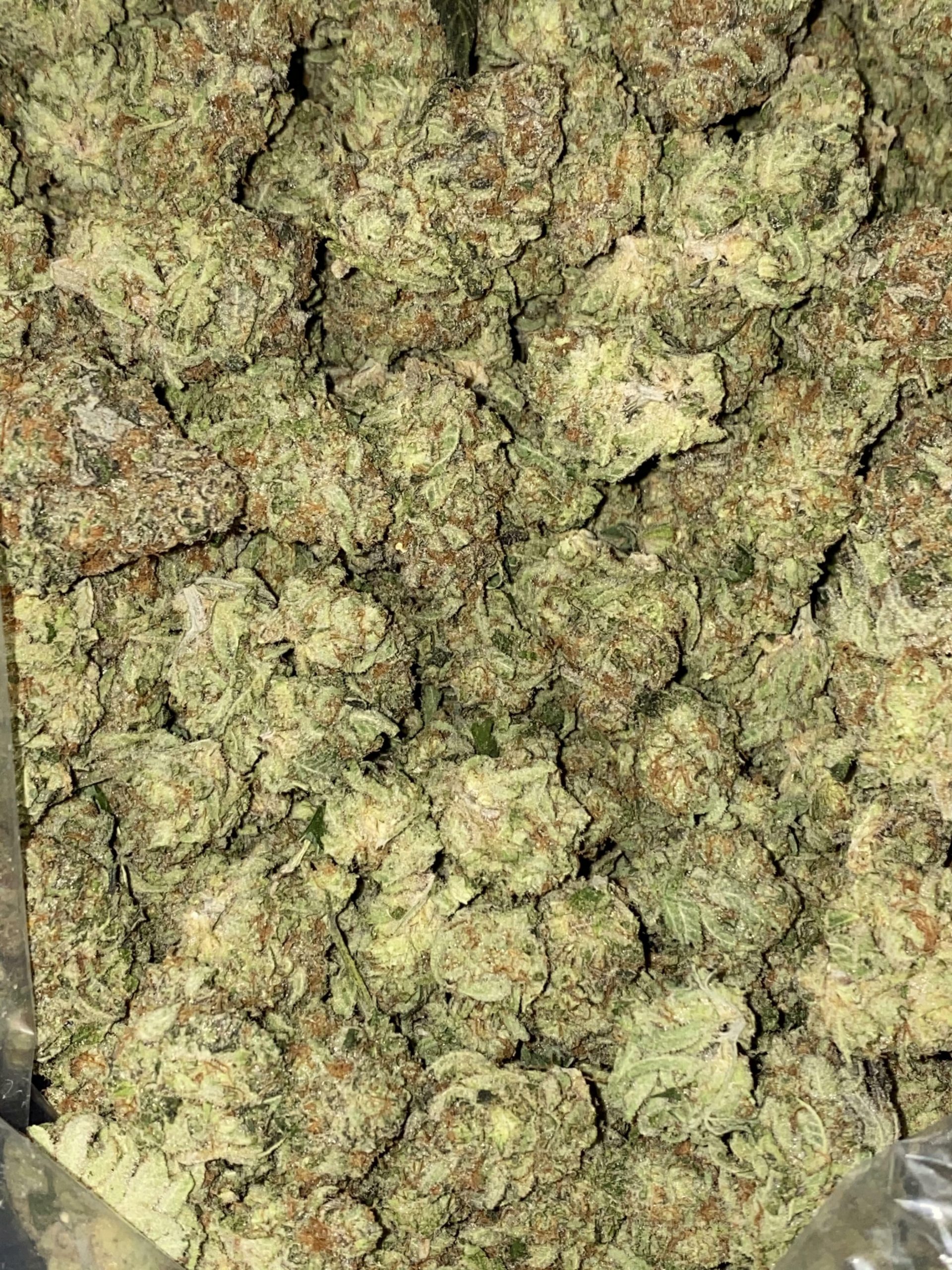 Tangerine cookies