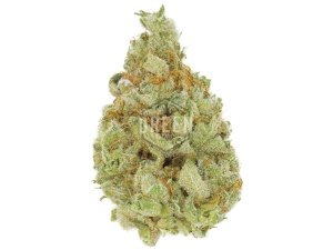 Amnesia Haze