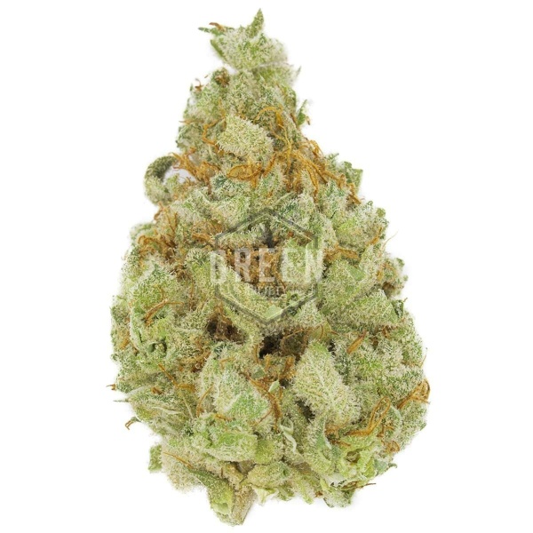 Amnesia Haze