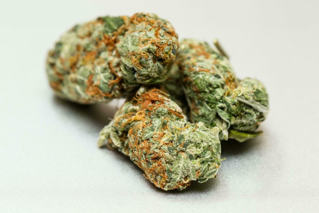 Red Dragon