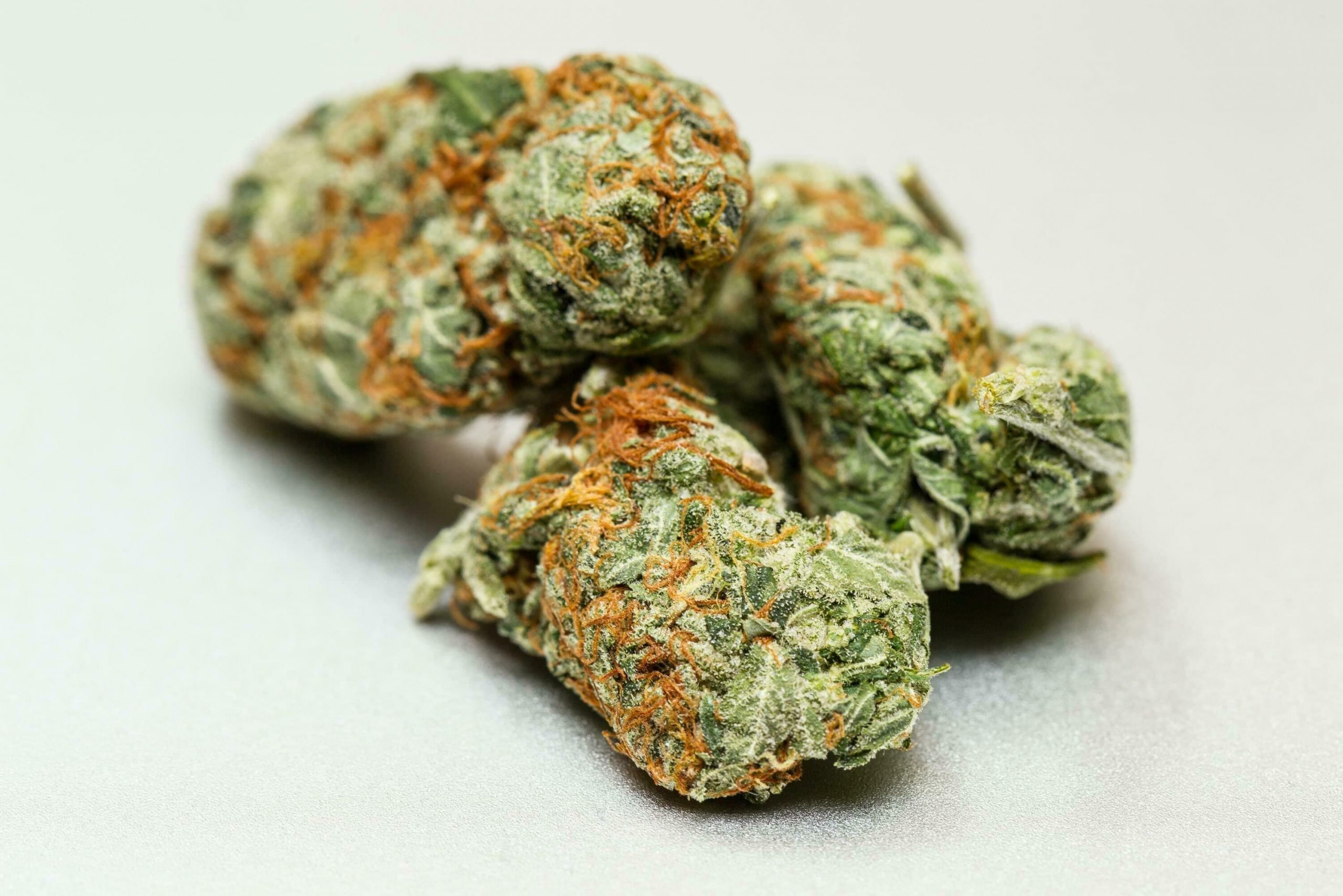 Red Dragon