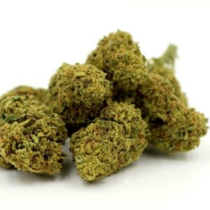 Dogwalker OG