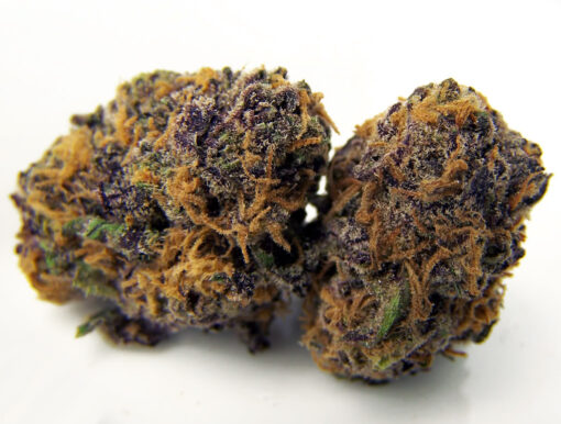 Lava Cake