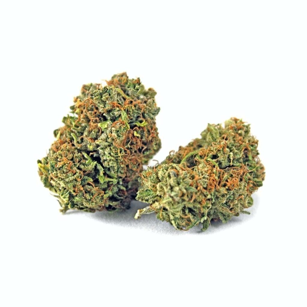 Grease Monkey