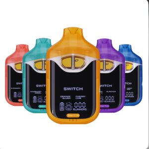 Boutiq Switch Disposable Vape 2g